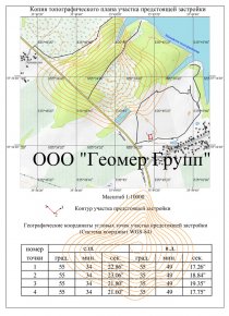 Копия топографического плана предстоящей застройки, г Пушкино, д Левково-3