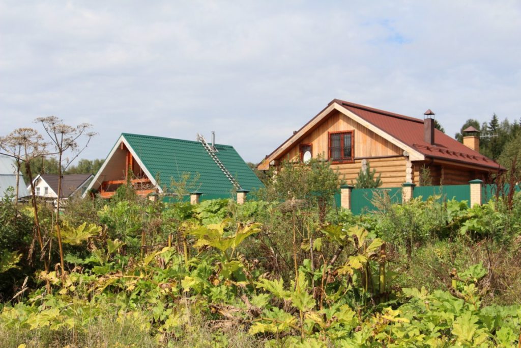 Садовые дома были зарегистрированы в Одинцово в рамках дачной амнистии